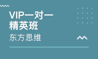 沈陽云集企業(yè)財務(wù)管理培訓(xùn)輔導(dǎo)班全面解析 排名與價值