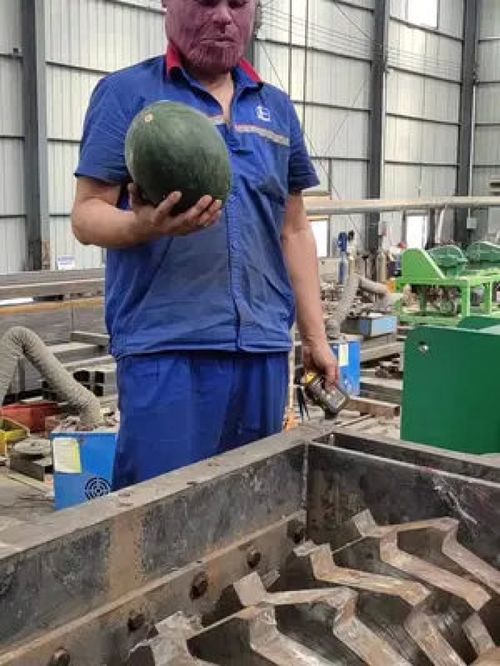 商用西瓜粉碎機 食品加工機械設(shè)備的高效應(yīng)用